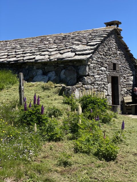 Brezons Buron de la Combe de la Saure
