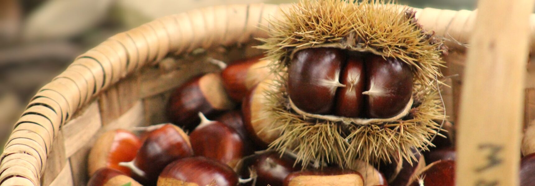 Panier de châtaignes