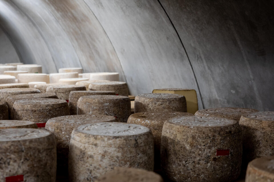 tunnel affinage fromage